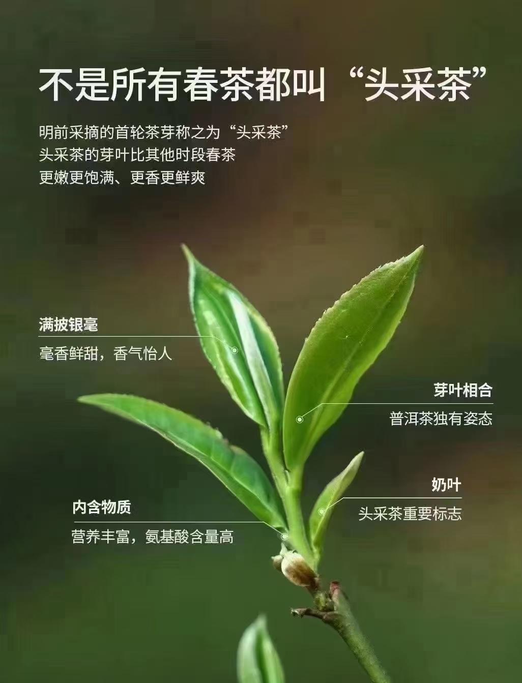 幻燈二